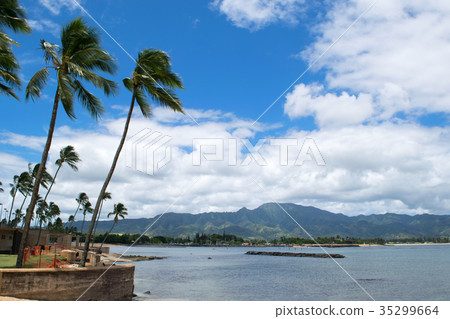 夏威夷瓦胡島Kaiaka灣海灘 35299664