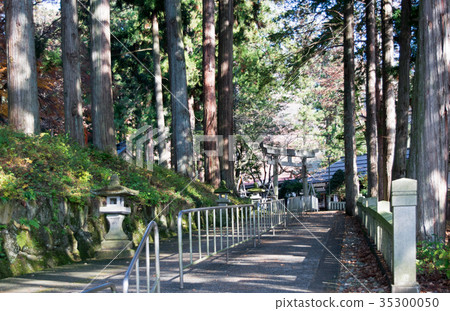 岐阜縣飛City市Kimita若宮（Kake Ukamiya）神社靖國神社朝聖之地電影'你的名字' 35300050