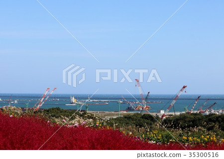 Kokiya hill with a view of the harbor 35300516