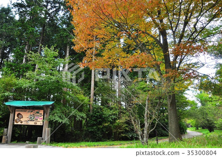 箱根自然學習人行道入口指導板和初秋風景 箱根自然學習人行道入口指導板和初秋風景 35300804