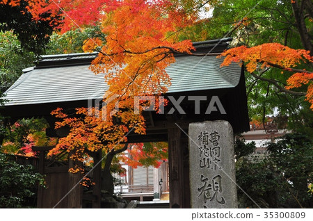 在Kanmonji寺廟前面的日落小光澤村莊秋葉 35300809