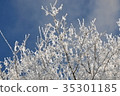 Winter ice 35301185