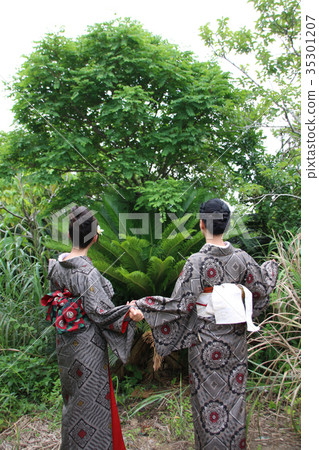 大島通行證 35301207