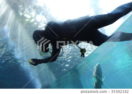 沖繩美麗海水族館 35302182