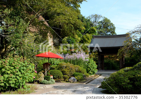 Kaisoji(鎌倉) Kaisoji(鎌倉) 35302776