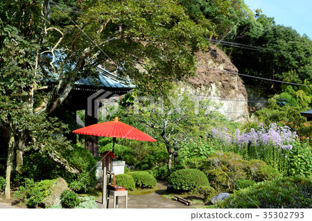 Kaisoji (Kamakura) Kaisoji (Kamakura) 35302793