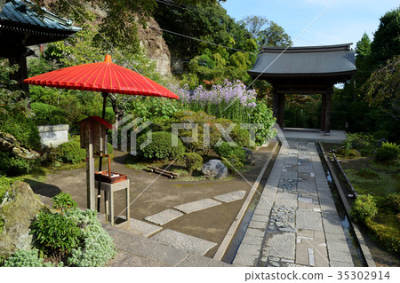 Kaisoji(鎌倉) Kaisoji(鎌倉) 35302914