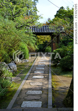 Kaisoji (Kamakura) 35302995