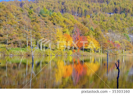 反射秋葉的女神湖 反射秋葉的女神湖 35303160
