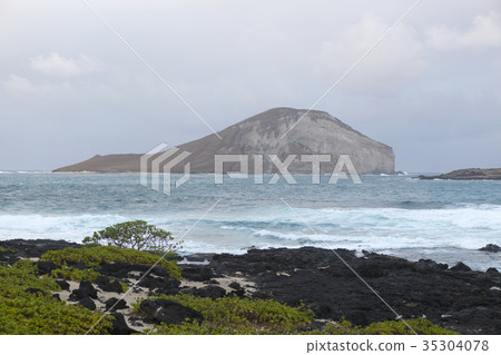 Rabbit Island, Oahu, Hawaii, USA Rabbit Island, Oahu, Hawaii, USA 35304078