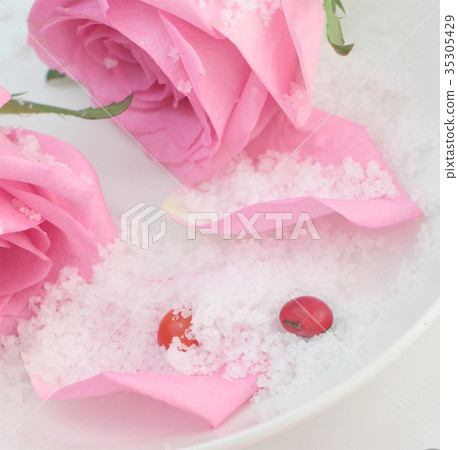 玫瑰花和粉雪 35305429