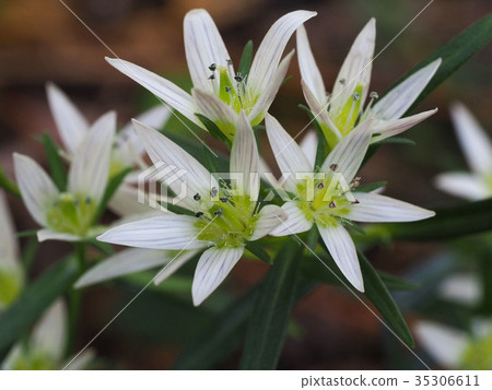 裝配 裝配 35306611