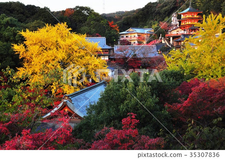 富士山Chogosonshiji寺院內五顏六色的秋葉和黃葉。 富士山Chogosonshiji寺院內五顏六色的秋葉和黃葉。 35307836