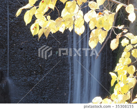 Jozankei Shiraito瀑布 Jozankei Shiraito瀑布 35308155