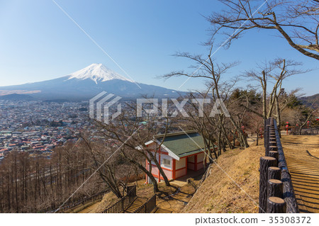 Fuji mountain and trees without leave in winter Fuji mountain and trees without leave in winter 35308372