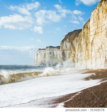 Chalk cliffs between Seaford and Newhaven, England 35308578