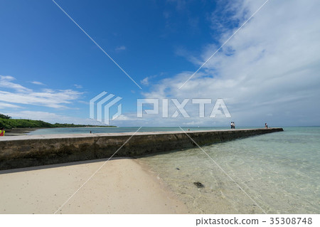 Ishigaki Island 4901 35308748