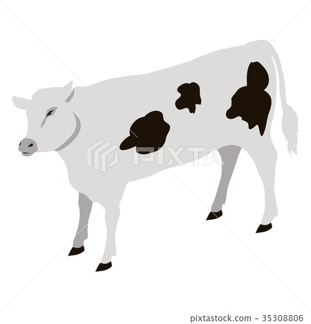 Calf Young of Domestic Cattle Vector Illustration - Stock Illustration ...