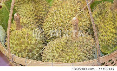 Thai durian in basket Thai durian in basket 35309335