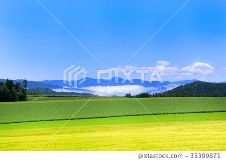 Hill landscape Northern Osaka Minamifurano Hill landscape Northern Osaka Minamifurano 35309871