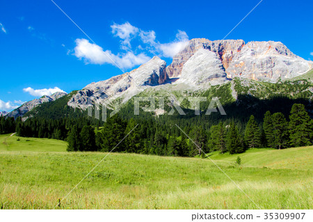 Prato Piazza, famous plateau in the Dolomites Prato Piazza, famous plateau in the Dolomites 35309907