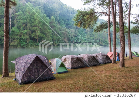 Tourists camping tent in pine forest on reservoir 35310267