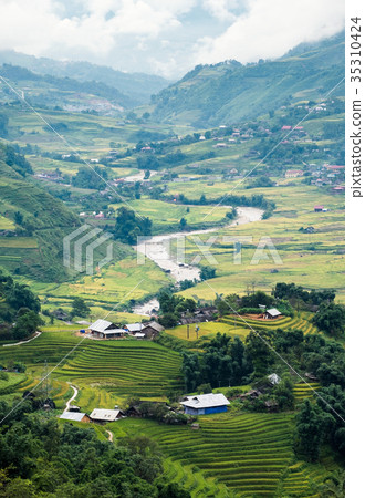Viewpoint of Tavan village on rice field terrace 35310424