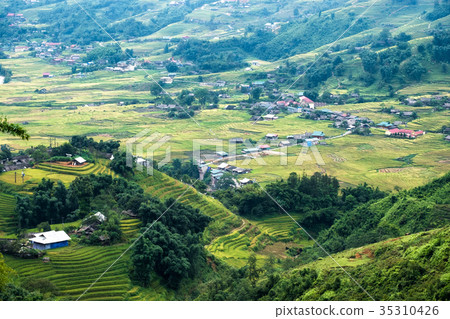 Viewpoint of Tavan village on rice field terrace 35310426