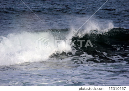 Sea wave splash 35310667