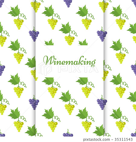 Winemaking Poster with Isolated Grapes Vector Winemaking Poster with Isolated Grapes Vector 35311543