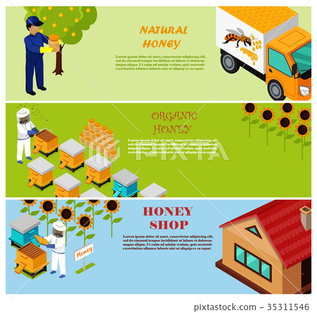 Natural, Organic and Shop Honey Vector Poster 35311546
