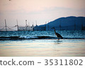 Heron hunting 35311802