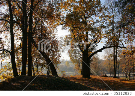 Minsk, the Loshitsa park 35312923