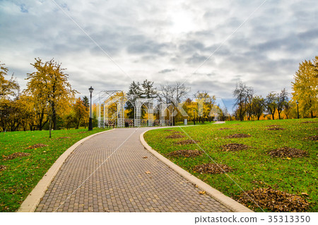 golden autumn in the park golden autumn in the park 35313350