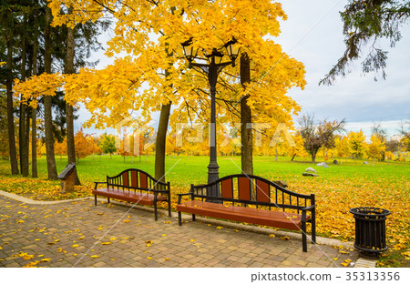 golden autumn in the park golden autumn in the park 35313356