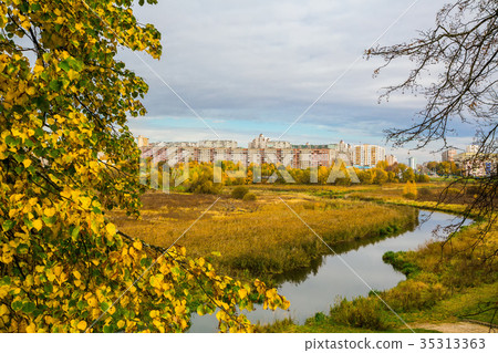 golden autumn in the park 35313363