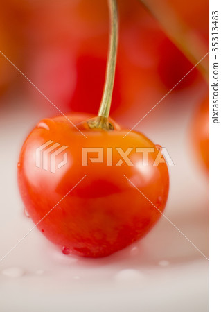 Cherry and water drops Cherry and water drops 35313483