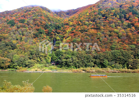 Mogami河船街市Shiraito秋天 Mogami河船街市Shiraito秋天 35314516