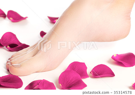 Beautiful girl. Perfect skin. Makeup, cosmetics 35314578