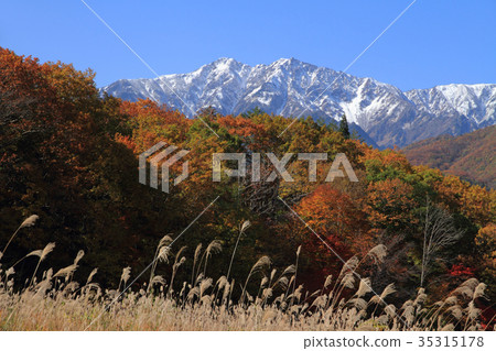Autumn in the northern section of the Northern Alps Autumn in the northern section of the Northern Alps 35315178