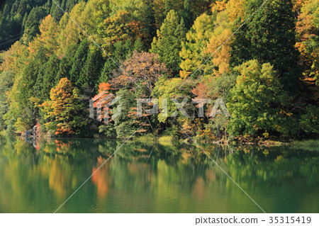 Shinshu Lake Nakatsuna autumn 35315419