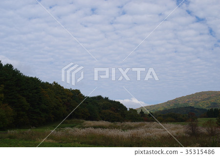 Fall landscape Fall landscape 35315486