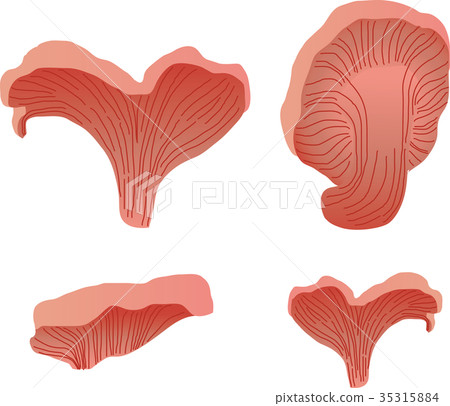 Tokiro Milatake 35315884