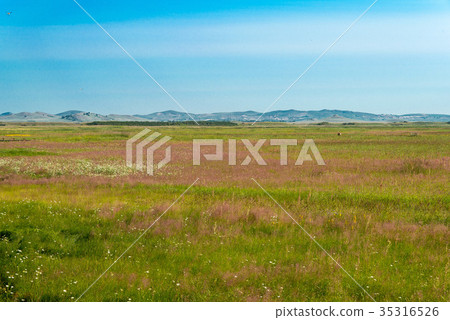 World Heritage Former King of Kyoto (Xanadu) China, Inner Mongolia Autonomous Region Xilingol 35316526