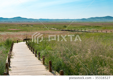 World Heritage Former King of Kyoto (Xanadu) China, Inner Mongolia Autonomous Region Xilingol World Heritage Former King of Kyoto (Xanadu) China, Inner Mongolia Autonomous Region Xilingol 35316527