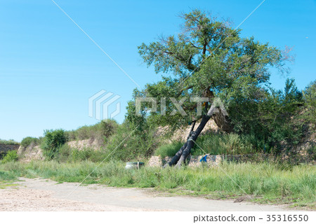 世界遺產前京都國王（世外桃源）中國，內蒙古自治區錫林郭勒 35316550