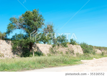 世界遺產前京都國王(世外桃源)中國,內蒙古自治區錫林郭勒 世界遺產前京都國王(世外桃源)中國,內蒙古自治區錫林郭勒 35316552