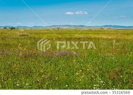 世界遺產前京都國王(世外桃源)中國,內蒙古自治區錫林郭勒 世界遺產前京都國王(世外桃源)中國,內蒙古自治區錫林郭勒 35316569