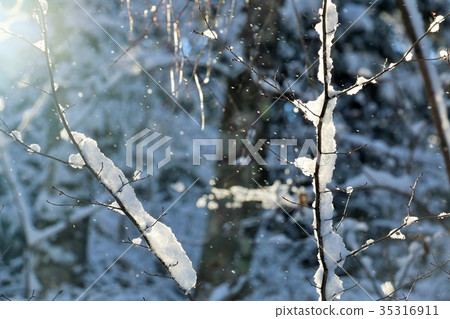 冬天冰和暴風雪 35316911