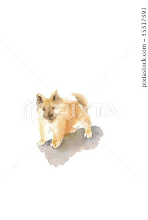 New Year's card material New Year's material 35317391